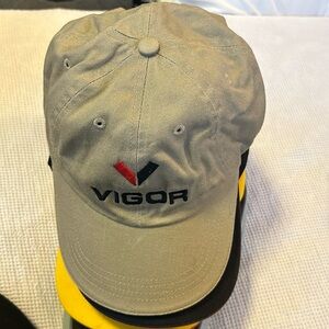 Vigor baseball cap